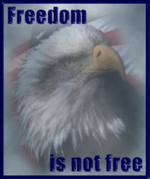 FREEDOM IS NOT FREE